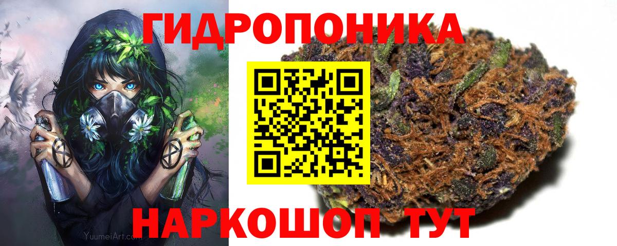 Бошки Шишки планчик Семилуки